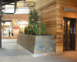 shopping_newjersey_ms_2